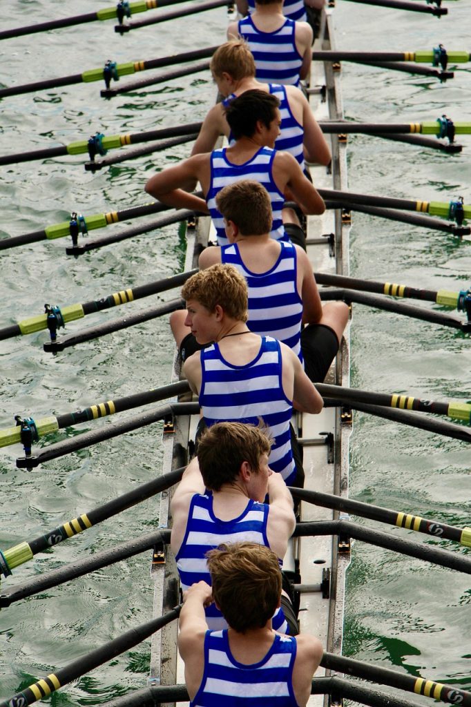 row-rowing-rowers-sport-4476112 row, rowing, nature, rowers, sport, school sport, blue and white, water, water sports, boat, team, cooperation, team work